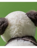 Jellycat London Panda Słodziak 24cm
